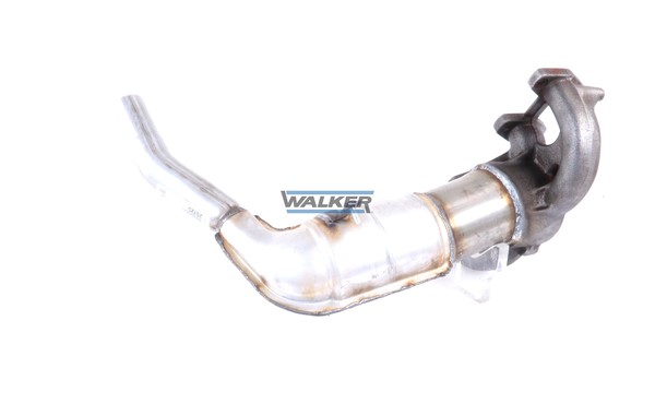 Katalysator, Fram Walker 20725 WALKER