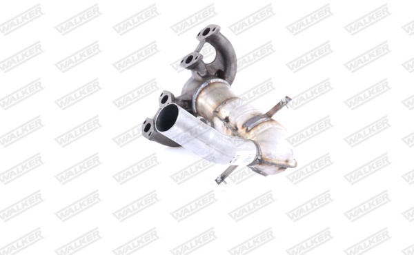 Katalysator, Fram Walker 20725 WALKER