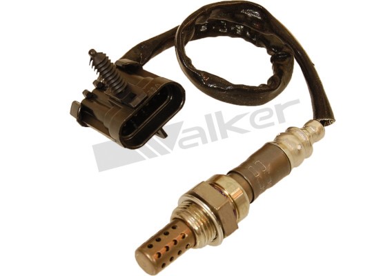 Lambdasond, Tvåsidig Walker products 250-24012 WALKER PRODUCTS