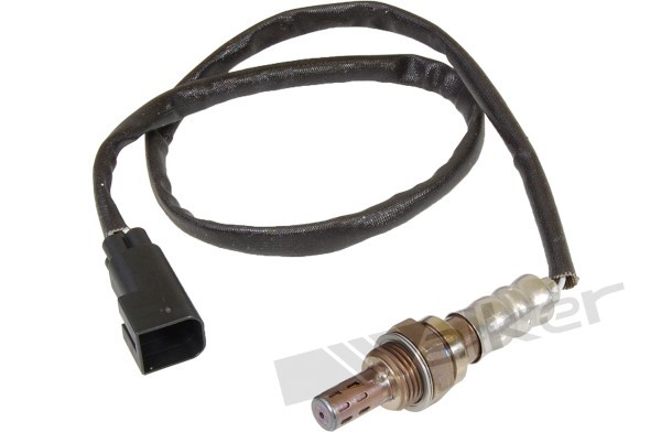 Lambdasond, Höger Walker products 250-24016 WALKER PRODUCTS