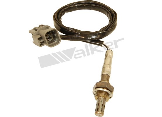Lambdasond, Höger Walker products 250-24102 WALKER PRODUCTS