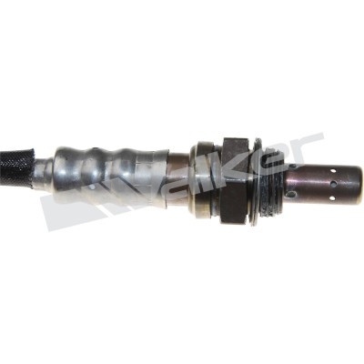 Lambdasond, Höger Walker products 250-241038 WALKER PRODUCTS