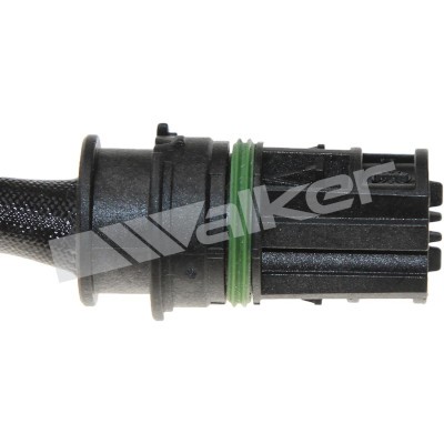 Lambdasond, Höger Walker products 250-241038 WALKER PRODUCTS