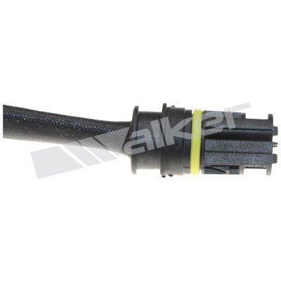 Lambdasond, Höger Walker products 250-241086 WALKER PRODUCTS