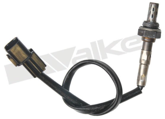 Lambdasond, Tvåsidig, Höger Walker products 250-241124 WALKER PRODUCTS