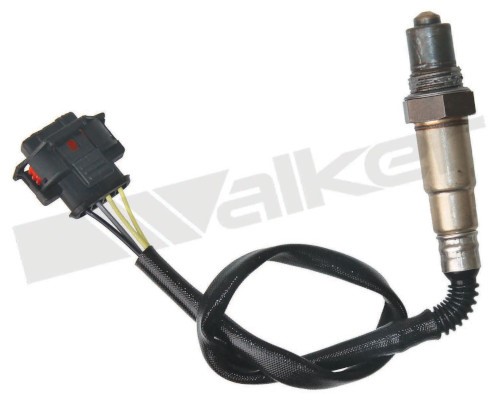 Lambdasond, Tvåsidig Walker products 250-241125 WALKER PRODUCTS