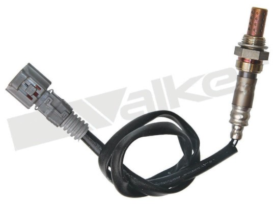 Lambdasond, Höger Walker products 250-241129 WALKER PRODUCTS