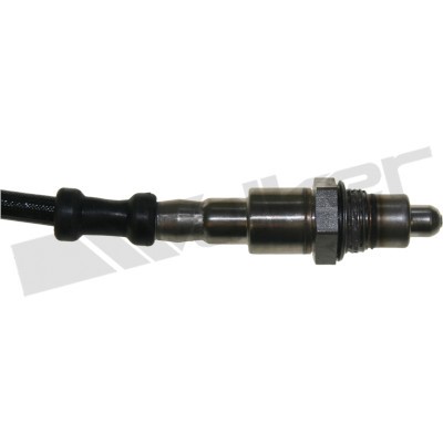 Lambdasond, Tvåsidig Walker products 250-241142 WALKER PRODUCTS
