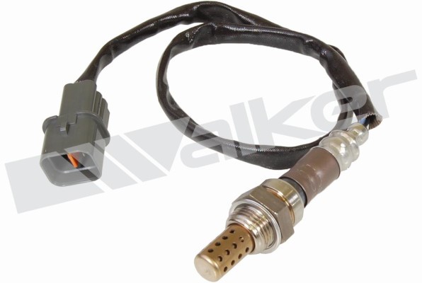 Lambdasond, Höger Walker products 250-24167 WALKER PRODUCTS