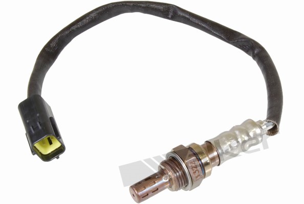 Lambdasond, Höger Walker products 250-24183 WALKER PRODUCTS