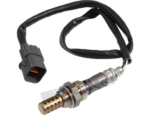 Lambdasond, Höger Walker products 250-24239 WALKER PRODUCTS
