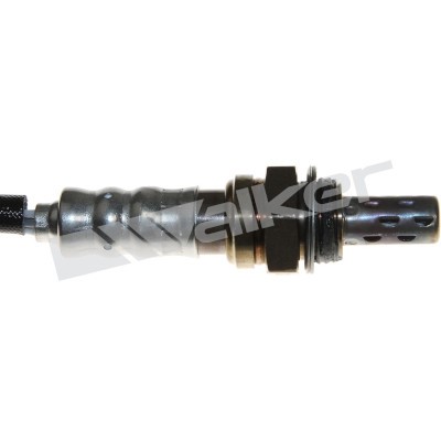 Lambdasond, Höger Walker products 250-24403 WALKER PRODUCTS