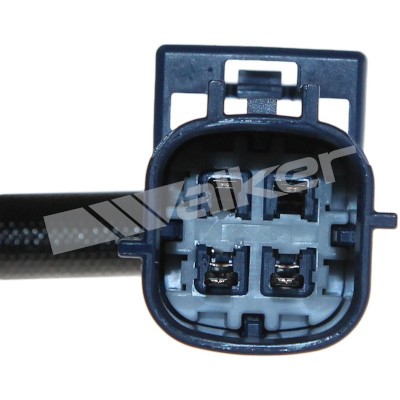 Lambdasond, Höger Walker products 250-24403 WALKER PRODUCTS
