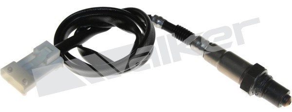 Lambdasond, Tvåsidig, Höger Walker products 250-24409 WALKER PRODUCTS