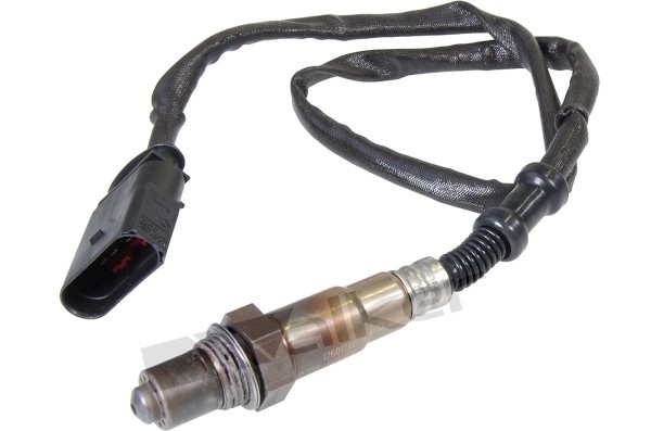Lambdasond, Höger Walker products 250-24431 WALKER PRODUCTS