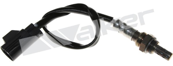 Lambdasond, Höger Walker products 250-24450 WALKER PRODUCTS