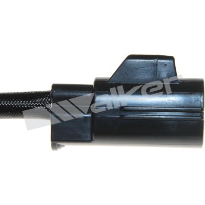Lambdasond, Höger Walker products 250-24450 WALKER PRODUCTS