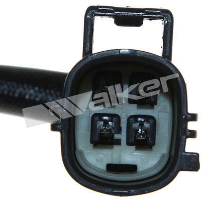 Lambdasond, Höger Walker products 250-24450 WALKER PRODUCTS