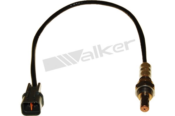 Lambdasond, Tvåsidig, Vänster, Höger Walker products 250-24461 WALKER PRODUCTS