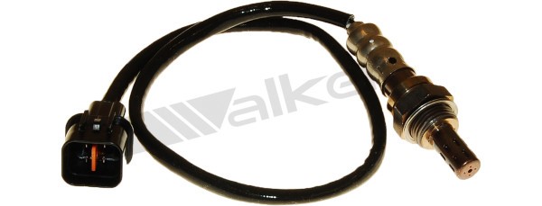 Lambdasond, Tvåsidig, Höger Walker products 250-24462 WALKER PRODUCTS