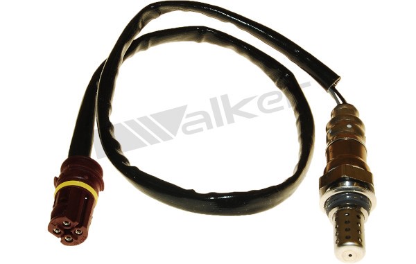 Lambdasond, Höger Walker products 250-24463 WALKER PRODUCTS