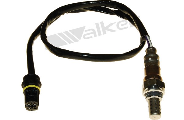 Lambdasond, Bak, Tvåsidig, Höger, Vänster Walker products 250-244 WALKER PRODUCTS