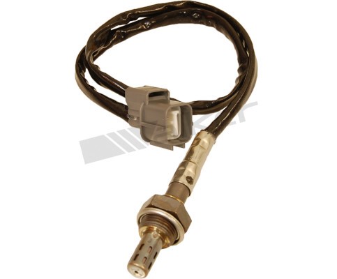 Lambdasond, Tvåsidig Walker products 250-24498 WALKER PRODUCTS