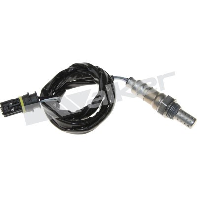 Lambdasond, Höger Walker products 250-24595 WALKER PRODUCTS