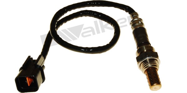 Lambdasond, Höger Walker products 250-24630 WALKER PRODUCTS