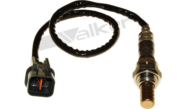 Lambdasond, Höger Walker products 250-24662 WALKER PRODUCTS