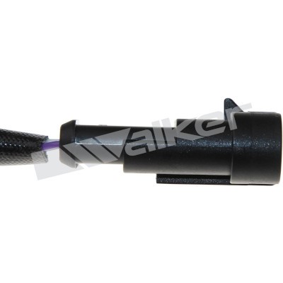 Lambdasond, Bak, Tvåsidig Walker products 250-24695 WALKER PRODUCTS
