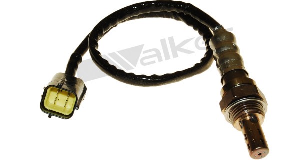 Lambdasond, Tvåsidig Walker products 250-24772 WALKER PRODUCTS