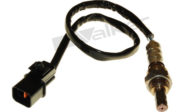 Lambdasond, Höger Walker products 250-24789 WALKER PRODUCTS