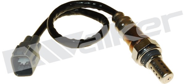 Lambdasond, Höger Walker products 250-24924 WALKER PRODUCTS