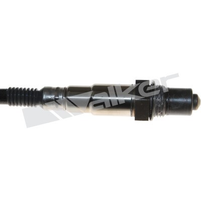 Lambdasond, Tvåsidig, Höger Walker products 250-25031 WALKER PRODUCTS