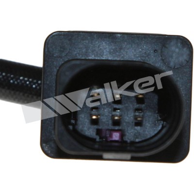 Lambdasond, Tvåsidig, Höger Walker products 250-25031 WALKER PRODUCTS