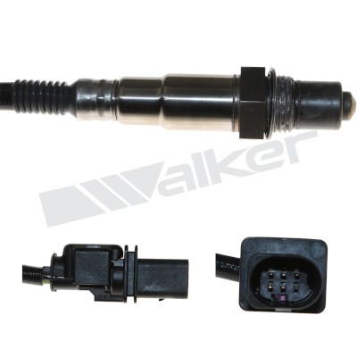 Lambdasond, Tvåsidig, Höger Walker products 250-25031 WALKER PRODUCTS