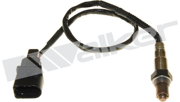 Lambdasond, Höger Walker products 250-25057 WALKER PRODUCTS