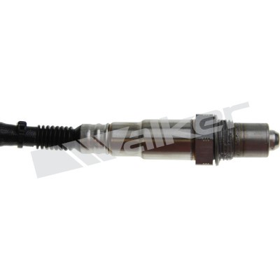 Lambdasond, Vänster Walker products 250-25118 WALKER PRODUCTS