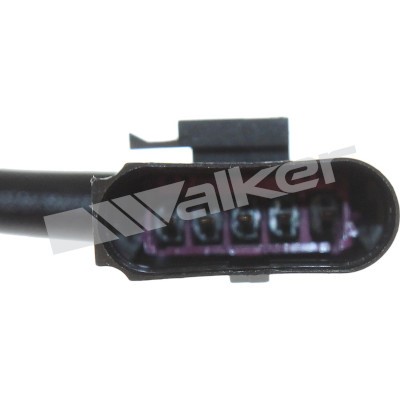 Lambdasond, Vänster Walker products 250-25118 WALKER PRODUCTS