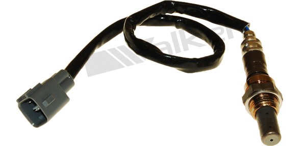 Lambdasond, Höger Walker products 250-54003 WALKER PRODUCTS
