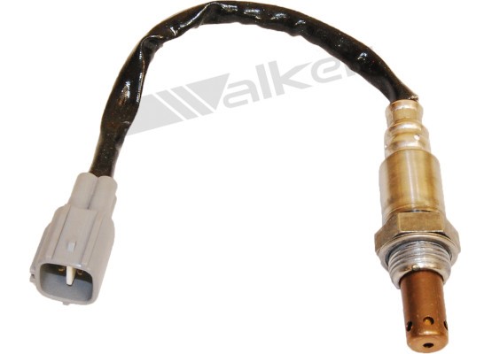 Lambdasond, Tvåsidig, Höger Walker products 250-54008 WALKER PRODUCTS