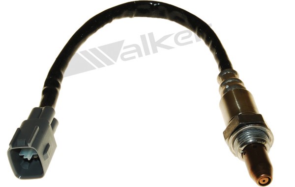 Lambdasond, Tvåsidig, Vänster, Höger Walker products 250-54050 WALKER PRODUCTS