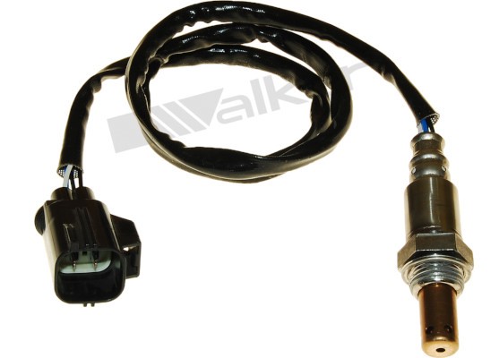 Lambdasond, Tvåsidig Walker products 250-54077 WALKER PRODUCTS