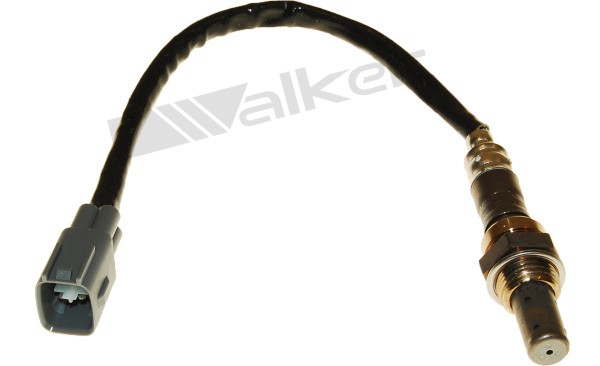 Lambdasond, Höger Walker products 250-54078 WALKER PRODUCTS