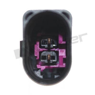 Sensor, avgastemperatur Walker products 273-20288 WALKER PRODUCTS
