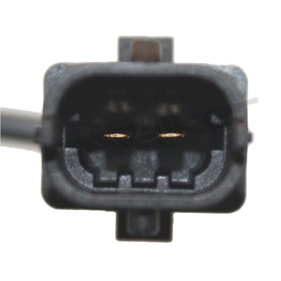 Sensor, avgastemperatur Walker products 273-20309 WALKER PRODUCTS