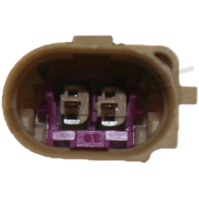 Sensor, avgastemperatur Walker products 273-20381 WALKER PRODUCTS