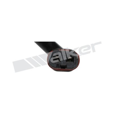 Sensor, avgastemperatur Walker products 273-20389 WALKER PRODUCTS