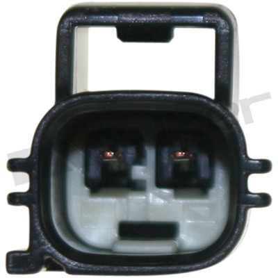 Sensor, avgastemperatur, Tvåsidig, Höger Walker products 273-2042 WALKER PRODUCTS